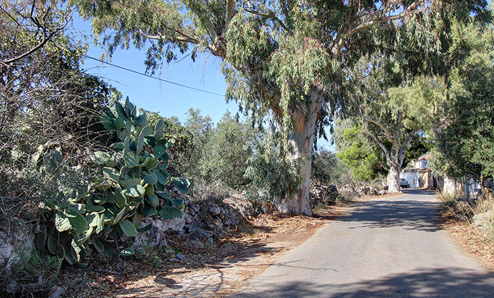 ΤΟΠΟΘΕΤΗΣΗ ΣΤΟ ΚΕΝΤΡΟ ΠΑΡΑΔΟΣΙΑΚΟΥ ΟΙΚΙΣΜΟΥ