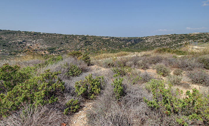 PANORAMIC OPEN VIEWS FROM A SQUARE PLOT