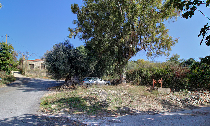 FOR A SMALL HOUSE IN A SERENE NEIGHBORHOOD