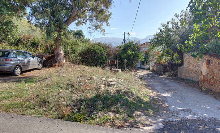 FOR A SMALL HOUSE IN A SERENE NEIGHBORHOOD