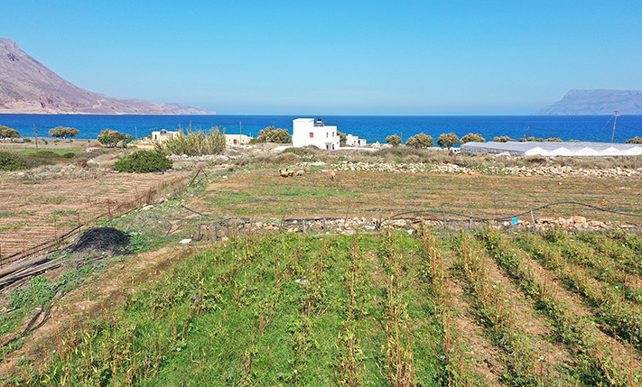 OCEAN-VIEW PARCEL FOR HOTEL DEVELOPMENT