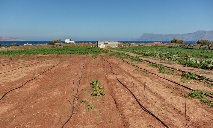 OCEAN-VIEW PARCEL FOR HOTEL DEVELOPMENT