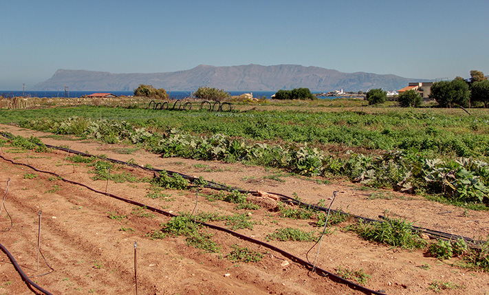 OCEAN-VIEW PARCEL FOR HOTEL DEVELOPMENT