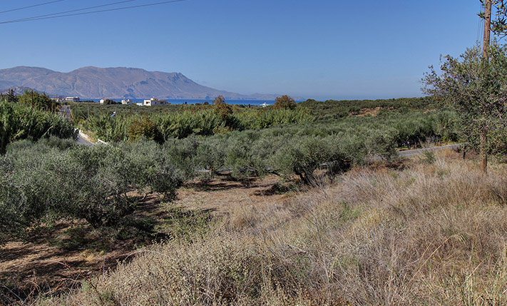 ΠΡΙΝ ΤΟΝ ΔΡΟΜΟ ΓΙΑ ΕΛΑΦΟΝΗΣΙ ΚΟΝΤΑ ΣΤΗΝ ΚΙΣΣΑΜΟ