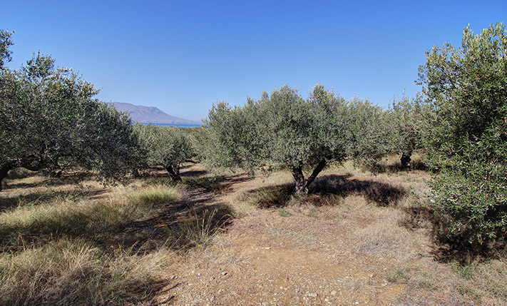 NEAR KISSAMOS & BEFORE THE ROAD TO ELAFONISI