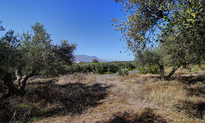 NEAR KISSAMOS & BEFORE THE ROAD TO ELAFONISI