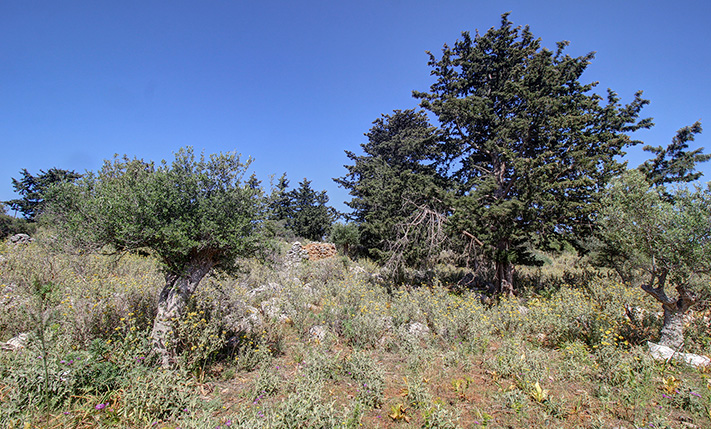 ΑΠΟΛΥΤΗ ΙΔΙΩΤΙΚΟΤΗΤΑ & ΗΡΕΜΙΑ ΣΤΗ ΦΥΣΗ