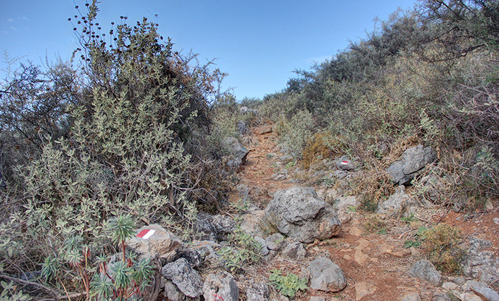 A RUGGED PARCEL INTO THE WILD