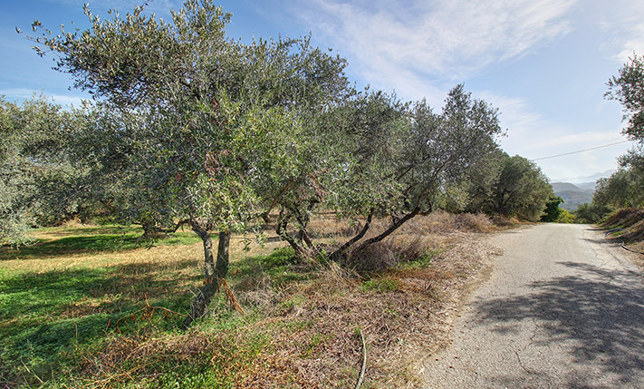 DESIRABLE LOCATION WEST OF AND NEAR THE CITY