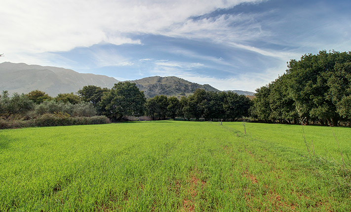 ΞΕΦΩΤΟ ΜΕ ΒΕΛΑΝΙΔΙΕΣ ΚΟΝΤΑ ΣΤΗ ΛΙΜΝΗ ΚΟΥΡΝΑ