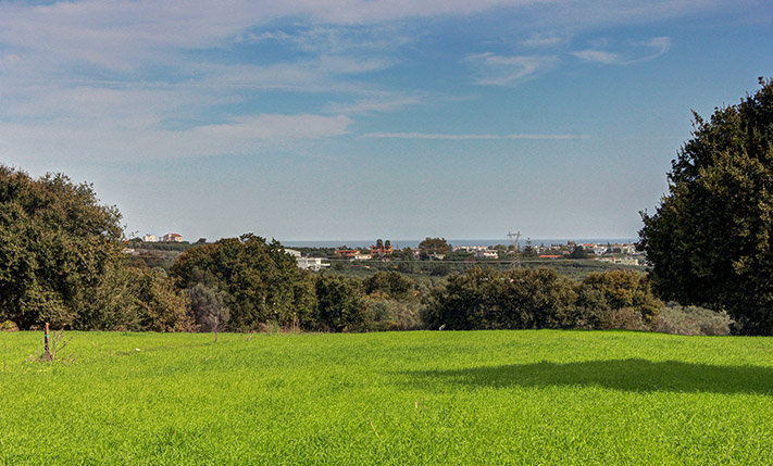 A GLADE SURROUNDED BY OAK TREES NEAR KOURNAS