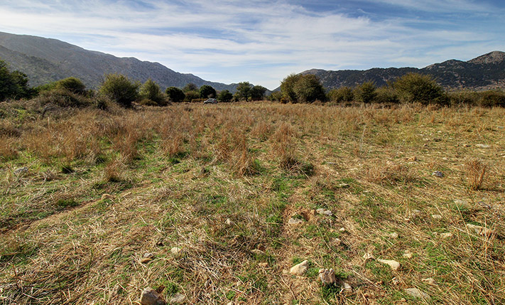 ΟΙΚΟΔΟΜΗΣΙΜΗ ΕΚΤΑΣΗ ΣΕ ΟΡΟΠΕΔΙΟ