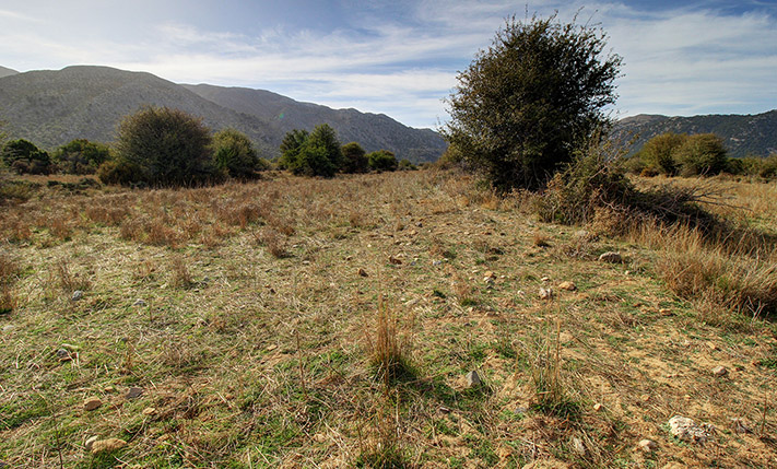 ΟΙΚΟΔΟΜΗΣΙΜΗ ΕΚΤΑΣΗ ΣΕ ΟΡΟΠΕΔΙΟ