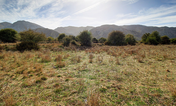 ΟΙΚΟΔΟΜΗΣΙΜΗ ΕΚΤΑΣΗ ΣΕ ΟΡΟΠΕΔΙΟ