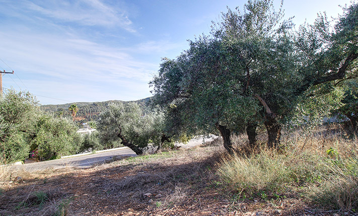 COMMERCIAL LAND IN VOUKOLIES