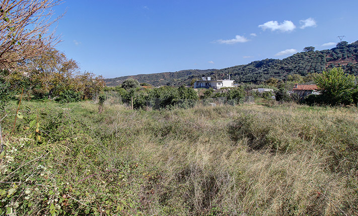 AFFORDABLE SQUARE PLOT SOUTH OF TAVRONITIS