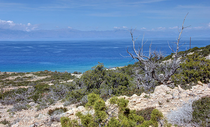 ΛΙΓΑ ΒΗΜΑΤΑ ΑΠΟ ΤΗΝ ΠΑΡΑΛΙΑ ΤΟΥ ΑΗ ΓΙΑΝΝΗ