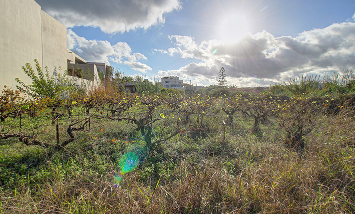 ΘΕΑ ΘΑΛΑΣΣΑ ΑΠΟ ΤΟ ΙΣΟΓΕΙΟ & ΕΤΟΙΜΗ ΑΔΕΙΑ