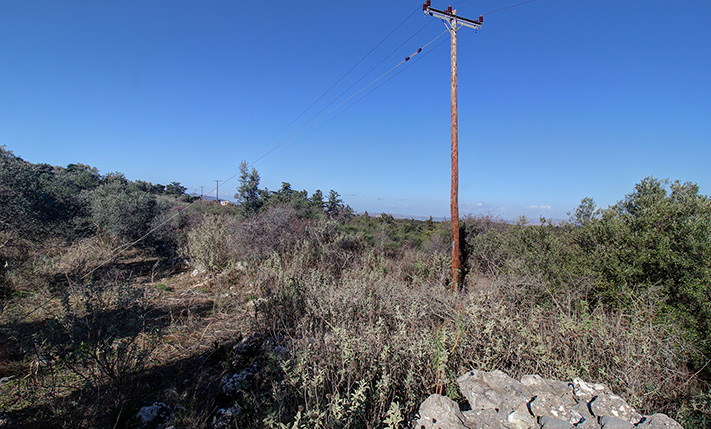AN OLIVE GROVE BETWEEN VAMOS & GEORGIOUPOLIS