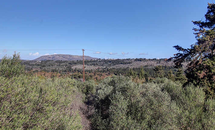ΕΛΑΙΩΝΑΣ ΜΕΤΑΞΥ ΒΑΜΟΥ & ΓΕΩΡΓΙΟΥΠΟΛΗΣ