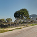 PLS1743 - image 17 PLS1743 - image 17