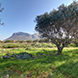 PLS1743 - image 8 PLS1743 - image 8