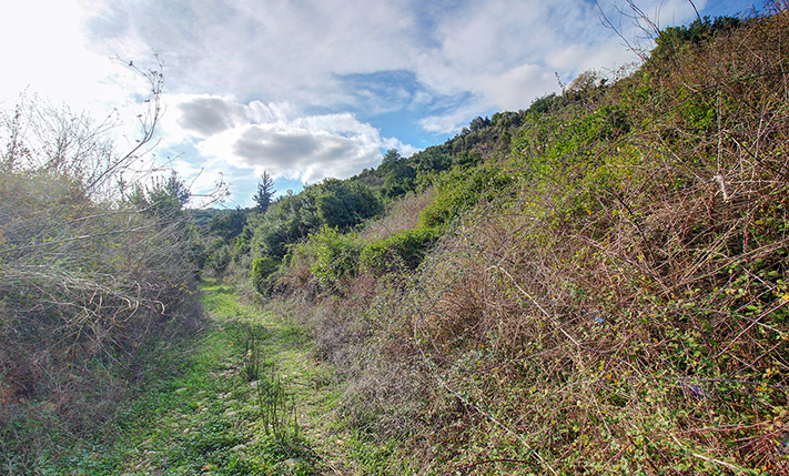 PLOT NEAR THE BEACH SPLIT INTO FLAT TERRACES