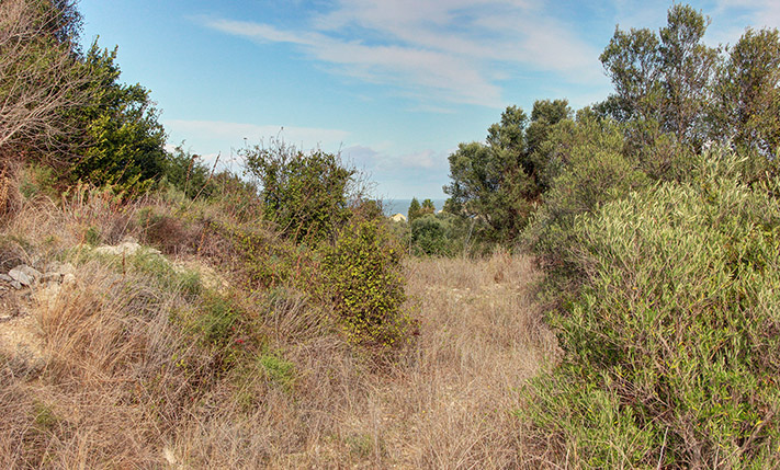 PLOT NEAR THE BEACH SPLIT INTO FLAT TERRACES