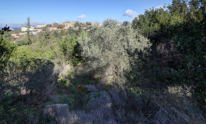 ΒΟΡΕΙΟΔΥΤΙΚΗ ΘΕΑ ΣΕ ΒΟΥΝΟ & ΘΑΛΑΣΣΑ