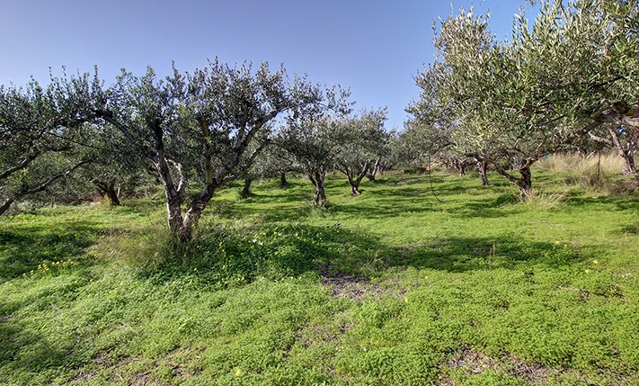 VIEWS FROM THE UPPER FLOOR, 5' FROM KISSAMOS