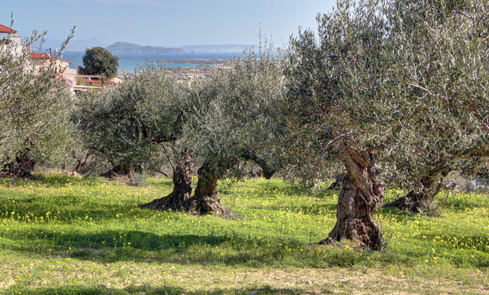 PERFECTLY SLOPED WITH UNOBSTRUCTED VIEWS