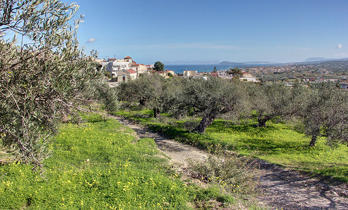 PERFECTLY SLOPED WITH UNOBSTRUCTED VIEWS