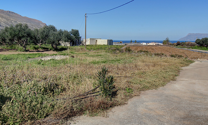 ΑΝΕΤΟ ΟΙΚΟΠΕΔΟ ΜΕ ΕΛΙΕΣ ΚΟΝΤΑ ΣΤΗ ΘΑΛΑΣΣΑ