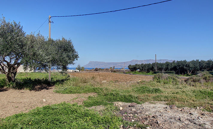 ΑΝΕΤΟ ΟΙΚΟΠΕΔΟ ΜΕ ΕΛΙΕΣ ΚΟΝΤΑ ΣΤΗ ΘΑΛΑΣΣΑ