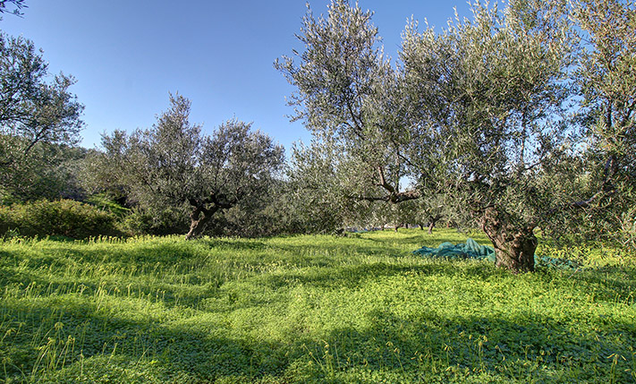 ΣΤΟ ΟΡΙΟ ΟΙΚΙΣΜΟΥ ΜΕ ΜΕΓΑΛΗ ΝΟΤΙΑ ΟΨΗ