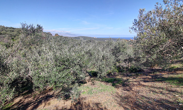 ΣΕ ΚΟΡΥΦΗ ΜΕ ΚΛΙΣΗ ΔΥΤΙΚΑ & ΑΝΑΤΟΛΙΚΑ