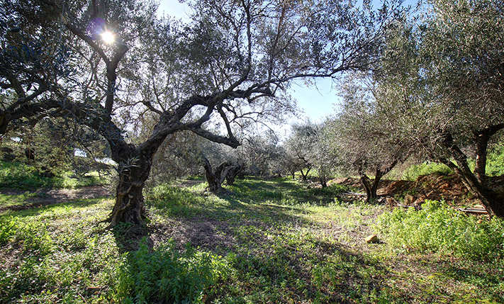 ΣΕ ΚΟΡΥΦΗ ΜΕ ΚΛΙΣΗ ΔΥΤΙΚΑ & ΑΝΑΤΟΛΙΚΑ