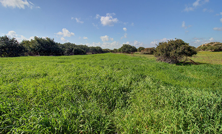 ΚΑΛΛΙΕΡΓΗΣΙΜΟΣ ΑΓΡΟΣ ΣΤΟ ΔΡΟΜΟ ΓΙΑ ΕΛΑΦΟΝΗΣΙ