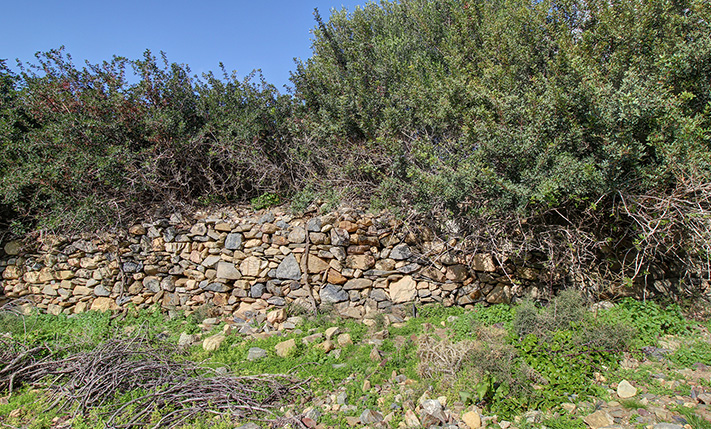 REMOTE LAND NEAR THE SEA