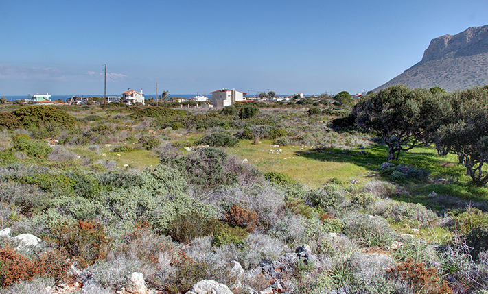 HOTEL PARCEL NEAR THE BEACH