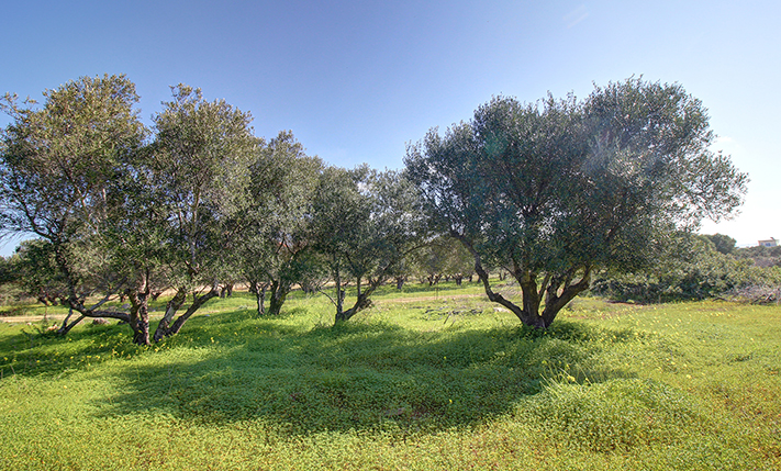 HOTEL PARCEL NEAR THE BEACH
