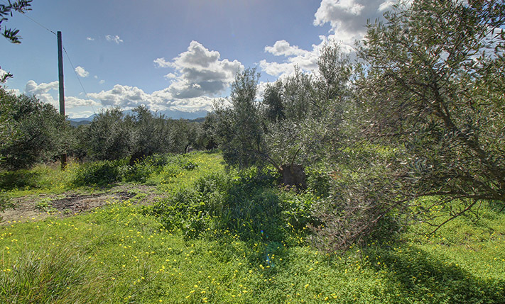 ΚΟΡΥΦΗ ΜΕ ΘΕΑ ΑΝΑΤΟΛΙΚΑ & ΔΥΤΙΚΑ