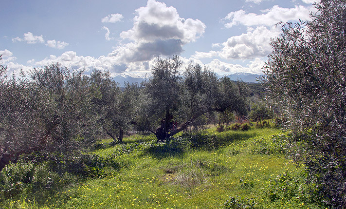 ON A HILLTOP WITH EAST & WEST FACING VIEWS