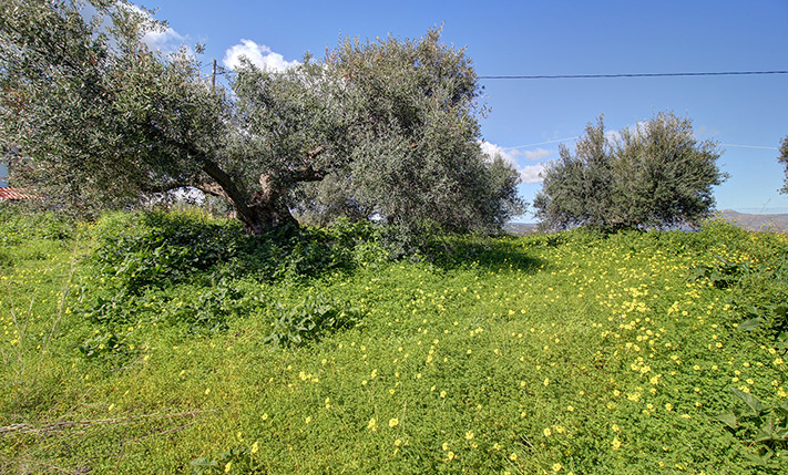 ON A HILLTOP WITH EAST & WEST FACING VIEWS