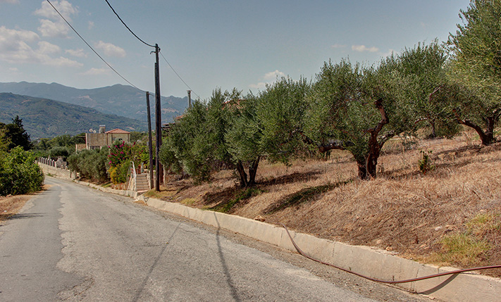 ΕΥΕΛΙΚΤΟ ΟΙΚΟΠΕΔΟ ΜΕ ΕΠΕΝΔΥΤΙΚΕΣ ΠΡΟΟΠΤΙΚΕΣ