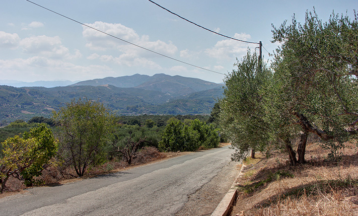 ΤΜΗΜΑ ΟΙΚΟΠΕΔΟΥ ΜΕ ΔΟΜΗΣΗ ΓΙΑ ΑΝΕΤΗ ΚΑΤΟΙΚΙΑ