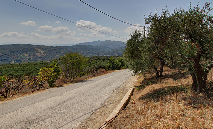 PLOT SECTION SUITABLE FOR A SPACIOUS HOUSE