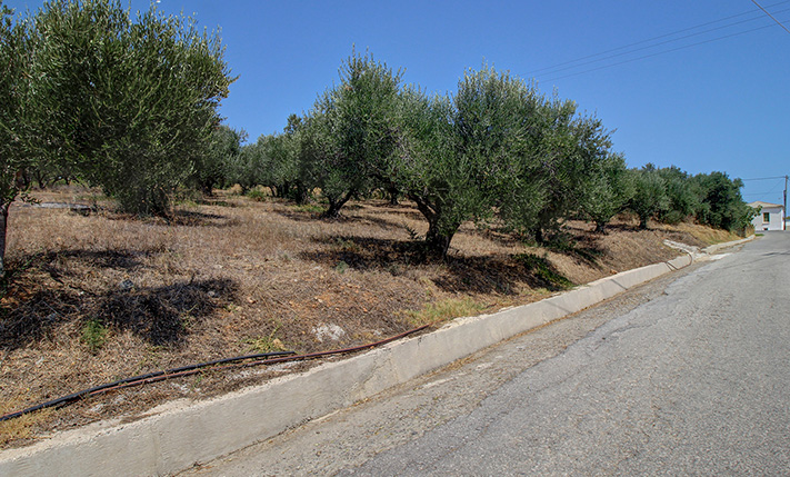 PLOT SECTION SUITABLE FOR A SPACIOUS HOUSE