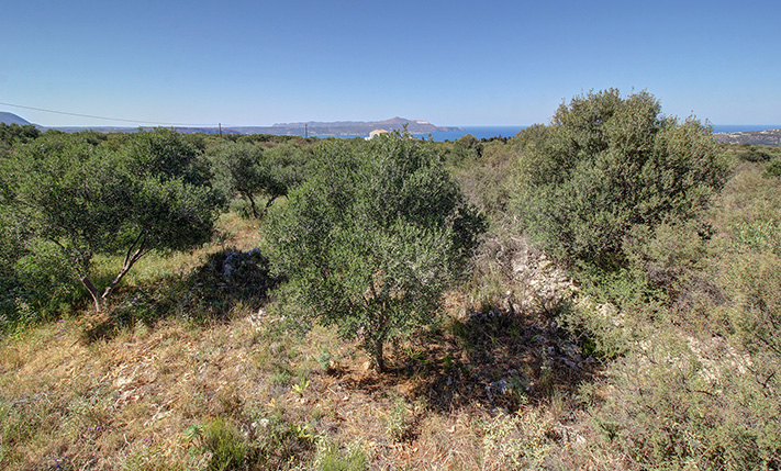 OLIVE GROVE IN TRANQUIL LOCATION WITH SEA VIEWS