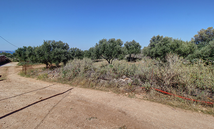 ΕΛΑΙΩΝΑΣ ΣΕ ΗΣΥΧΗ ΘΕΣΗ ΜΕ ΘΕΑ ΜΕΧΡΙ ΤΗ ΘΑΛΑΣΣΑ